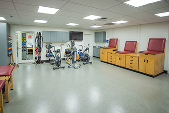 Physical Therapy Willamette University PT Northwest